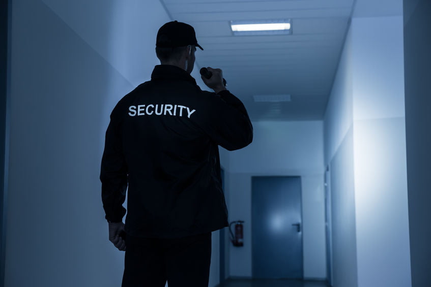 hammer head security in Sacramento
